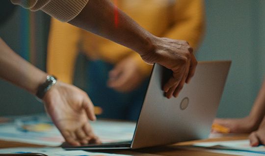 540x350_Over Yellow Hive.jpg